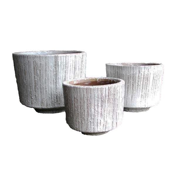 Anamese Felix Lara Planter