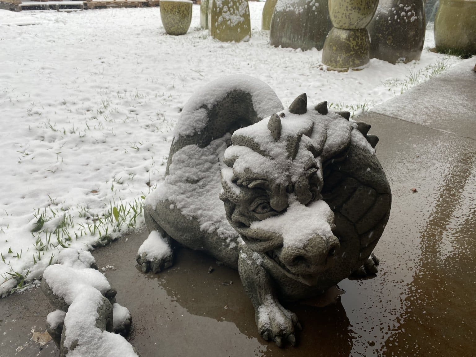 Campania dragon Matsuri - Image 2