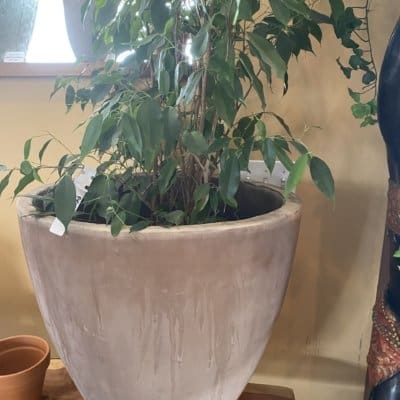 Boule Planter - Chocolate Terracotta