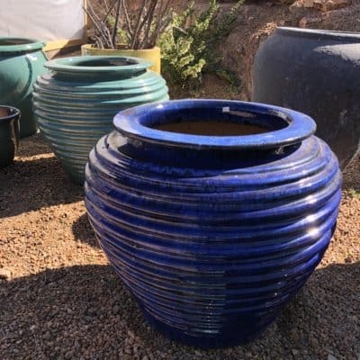 Anamese Giant Coil Planter