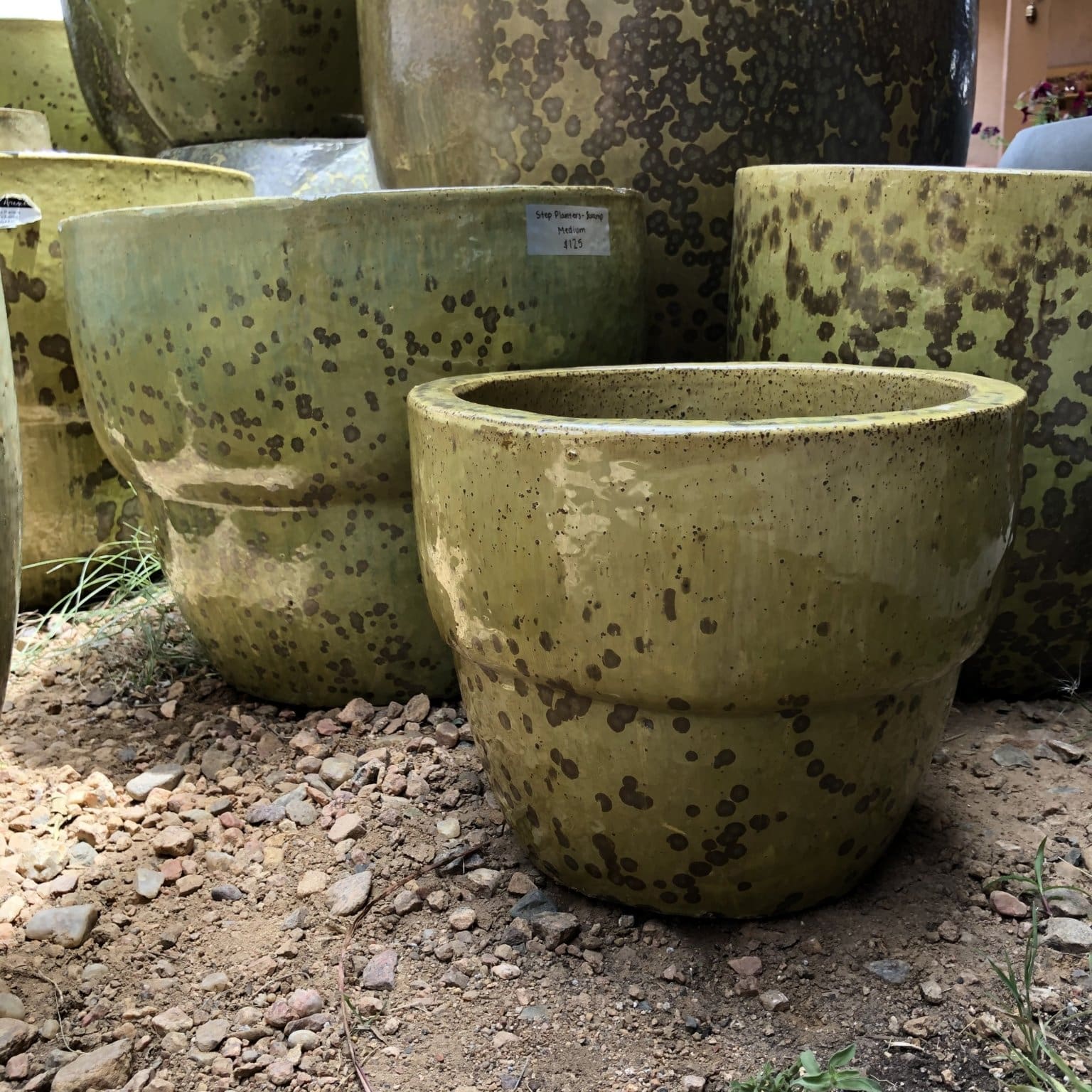 Anamese Step Planters - Swamp