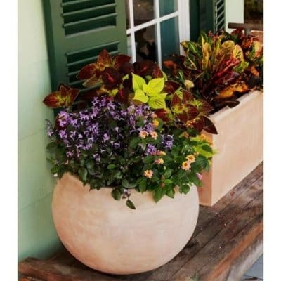 Anamese Cercle Planter - Unglazed