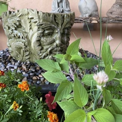 Sylvan Face Fountain