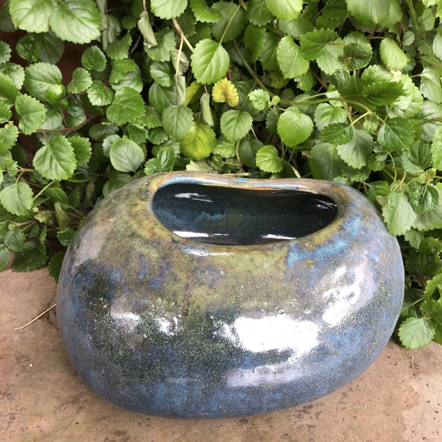Seashore Bowl - Image 2
