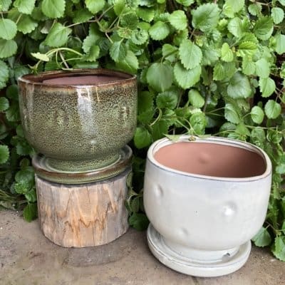 Pena Floral Pot