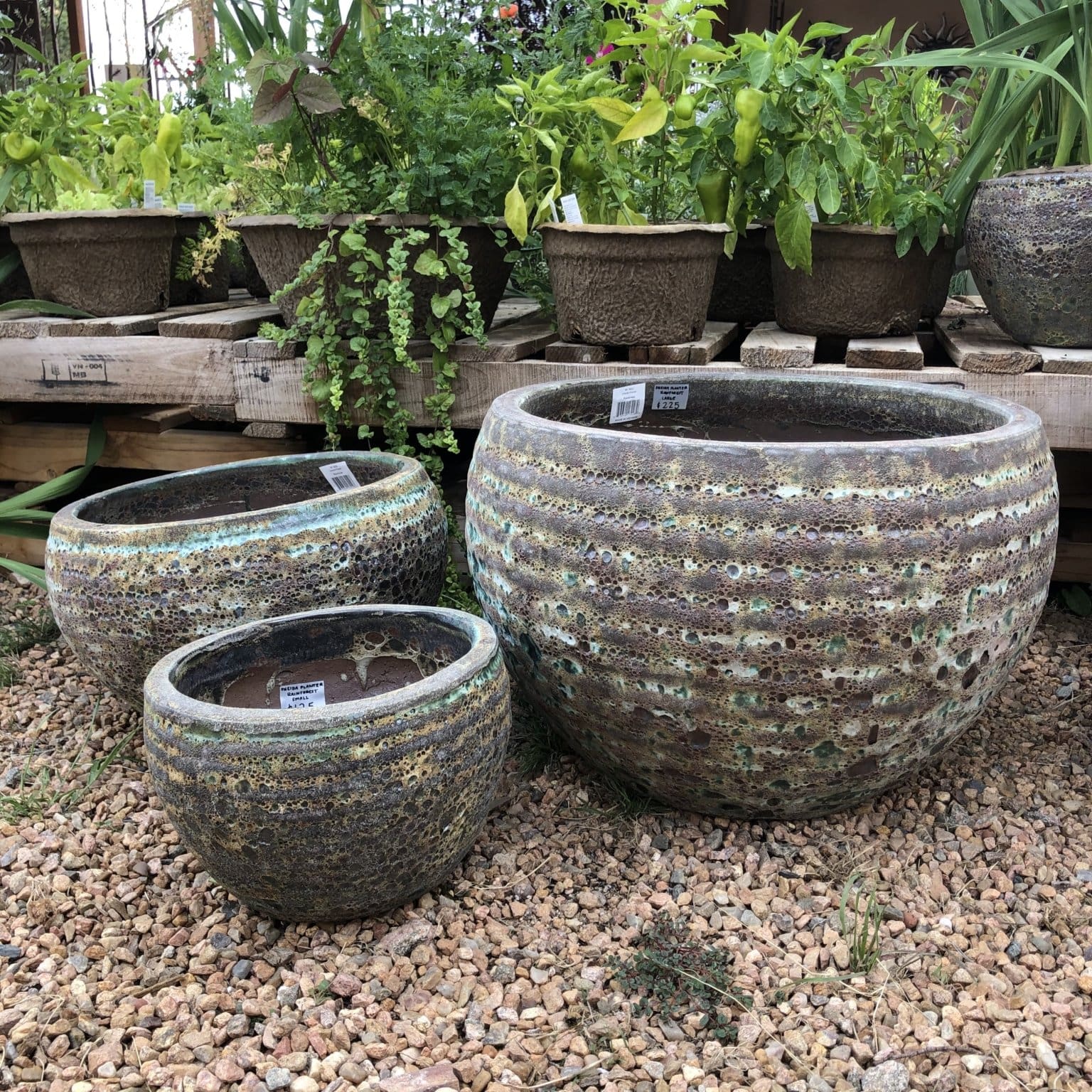 Oneida Planter - Rainforest