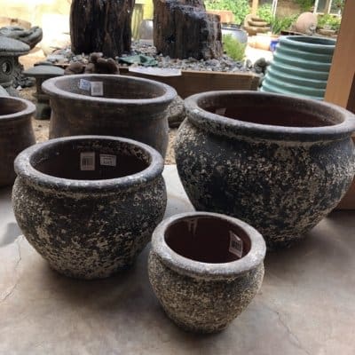 Dana Planter