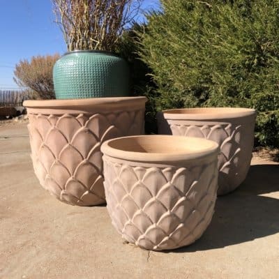 Artichoke Planter