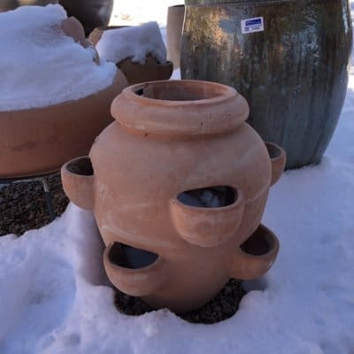 Campania Tascandi Strawberry Jar
