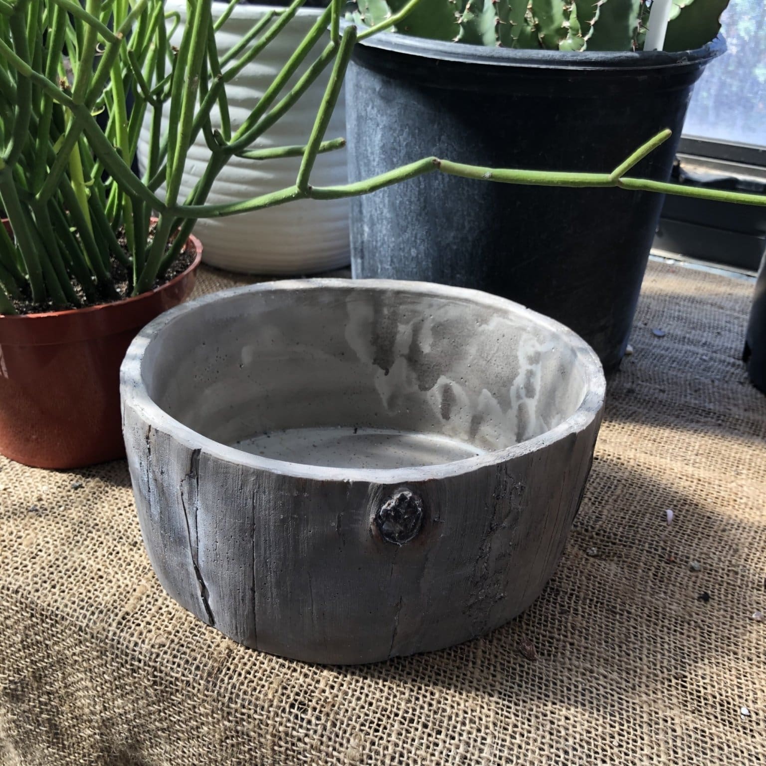 Low Woodland Planter - Image 2