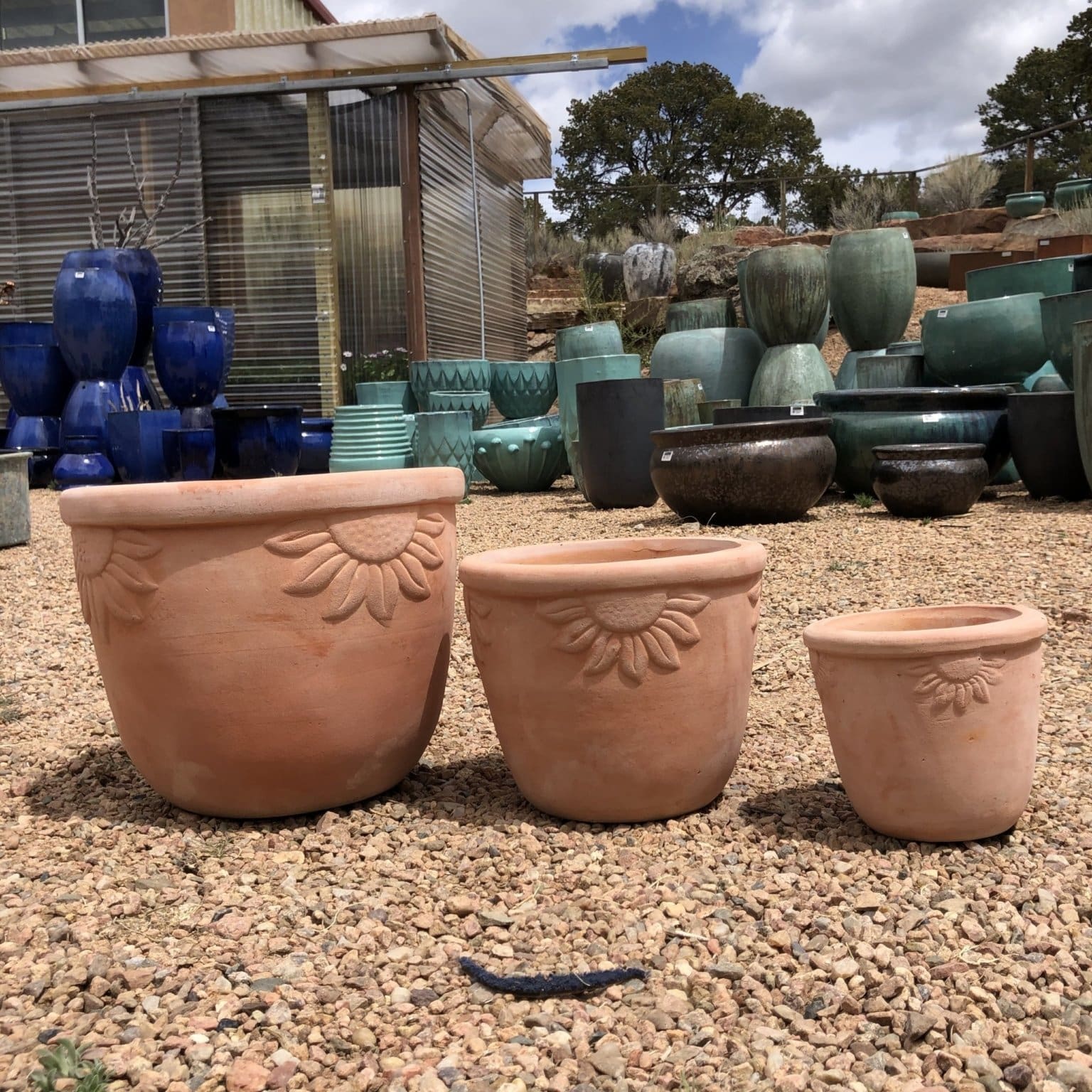 Sunrise Planter - Image 2