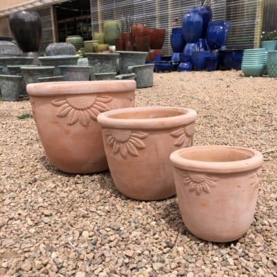 Sunrise Planter