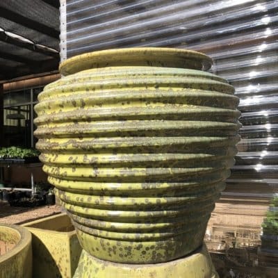 Anamese Giant Coil Planter
