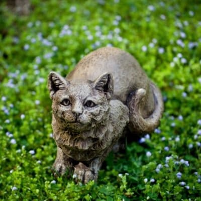 Campania Patience Cat Statue