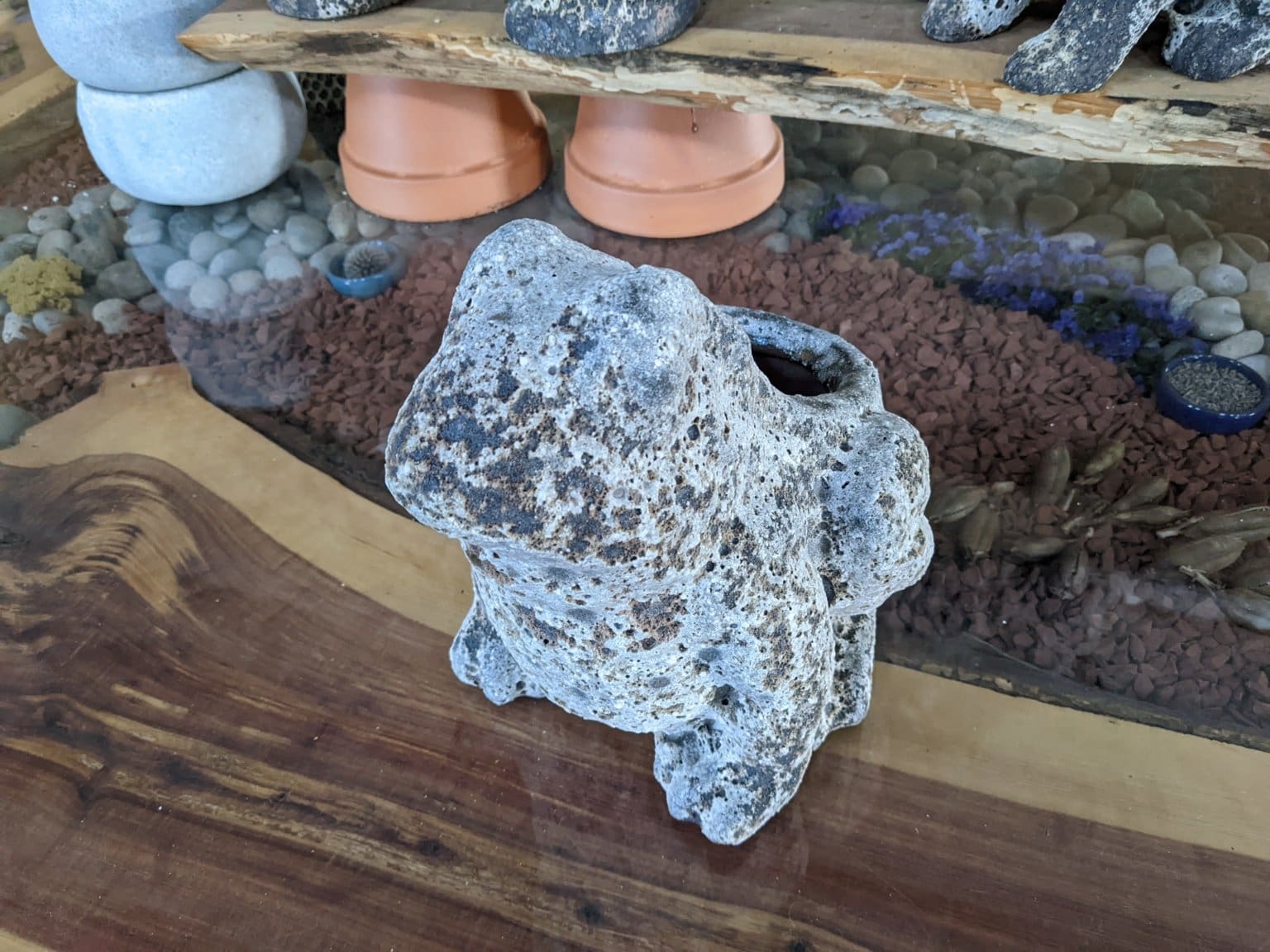 Frog Planter