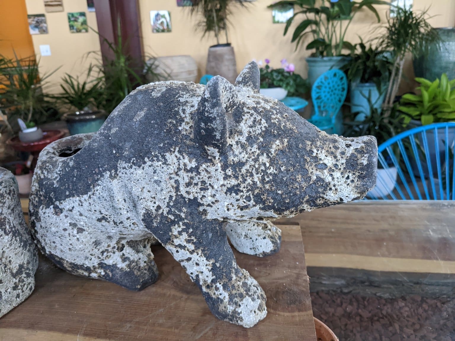 Pig Planter