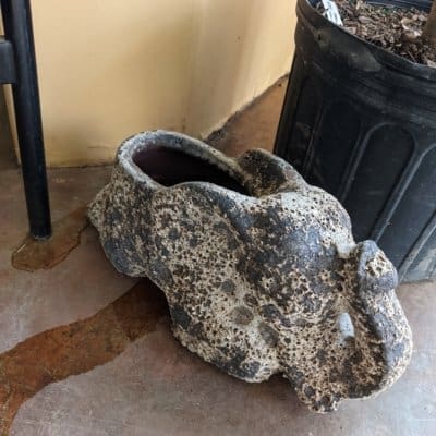 Elephant Planter Lotus