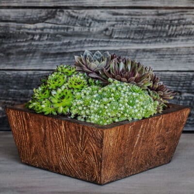 Campania Barn Board Tapered Planter