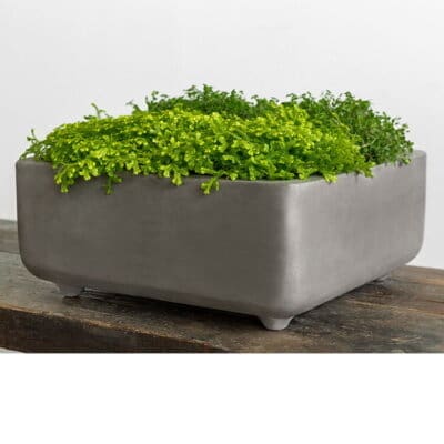 Campania Geo Square Footed Planter