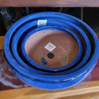 Lotus Mumbai Low Bowl Planter - Blue