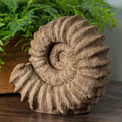 Campania Sea Ammonite Statue
