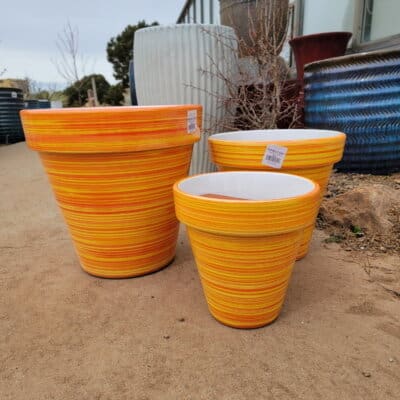 Sunshine Ceramica Standard Planter - Bold