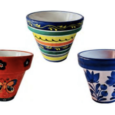Lotus Granada - 8" planters