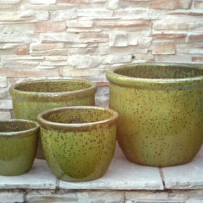 Anamese Roll Top Planter Swamp