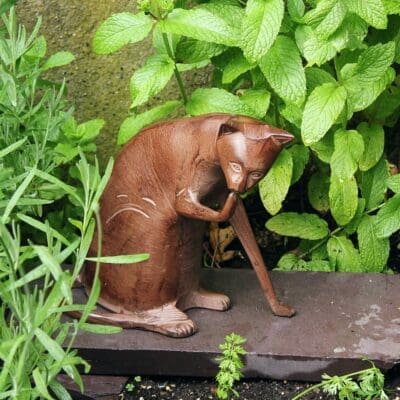 Achla Coy Cat