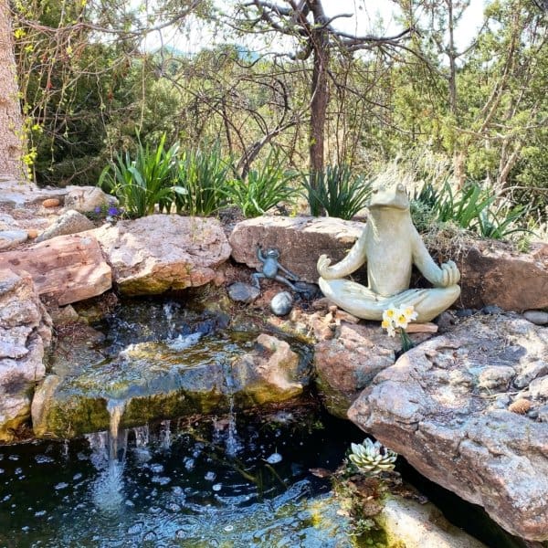 Campania Totally Zen Frog - Image 2