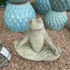 Campania Totally Zen Frog - Image 3