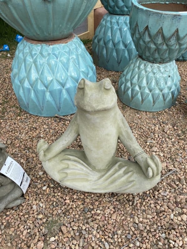Campania Totally Zen Frog - Image 3