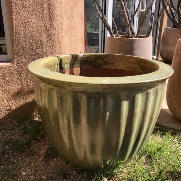 Anamese Starfruit Planter XL Swamp