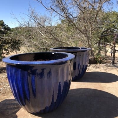 Anamese Starfruit Planter XL Blue