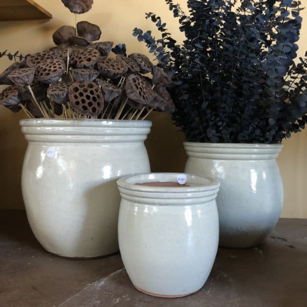Census Pot - Vanilla Color