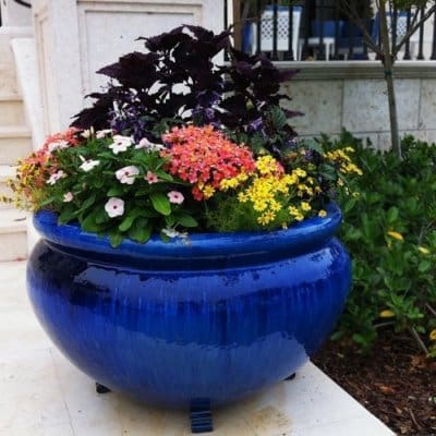 Anamese Savannah Basin Blue