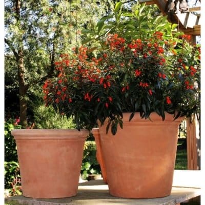 Bucket Planter Italian Terracotta