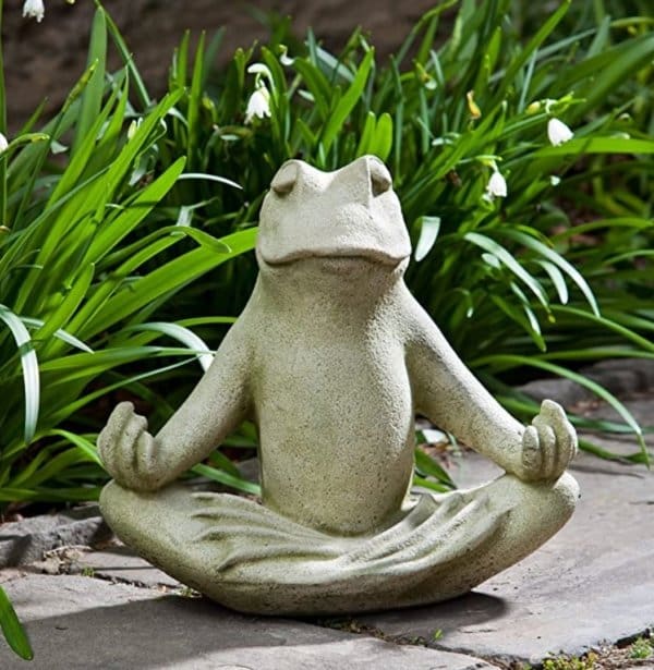 Campania Totally Zen Frog
