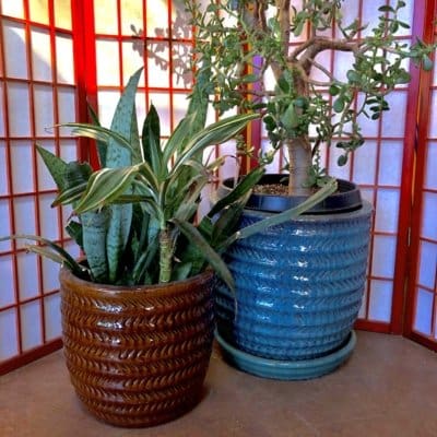 Yura Planter - Cognac