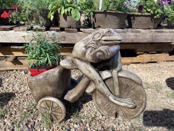 Campania Tricycle Frog Planter