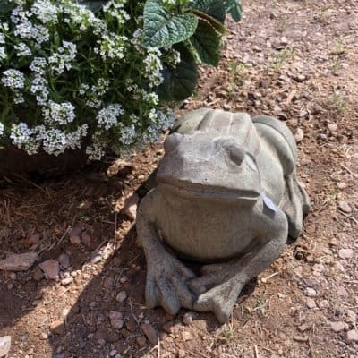 Campania Woodland Frog Garden Statue