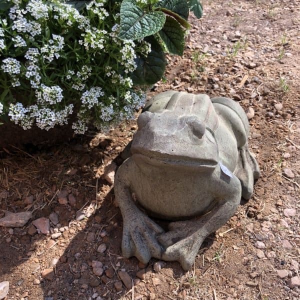 Campania Woodland Frog Garden Statue