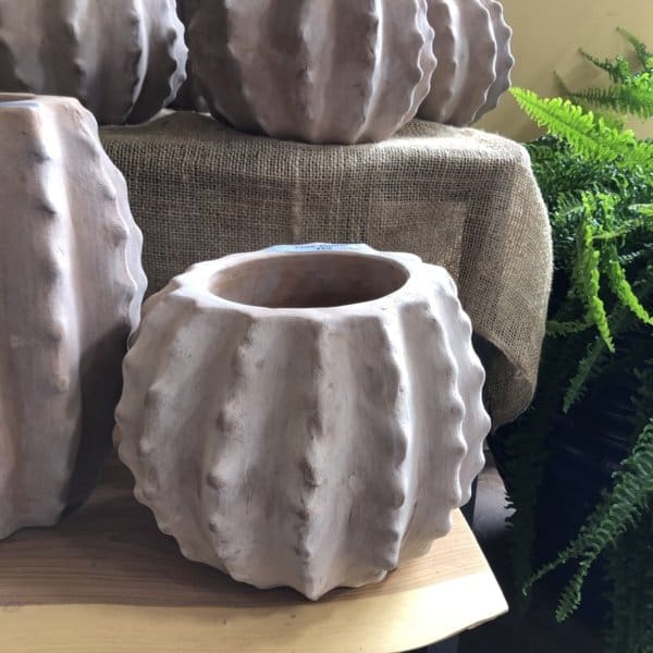 Cactor Planter