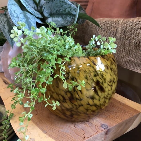 Orange Glass Orb Planter