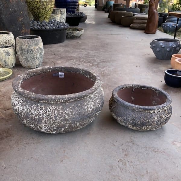 Sonoma Bowl