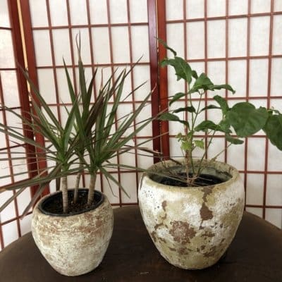 Anamese Juliet Planter - Aegean