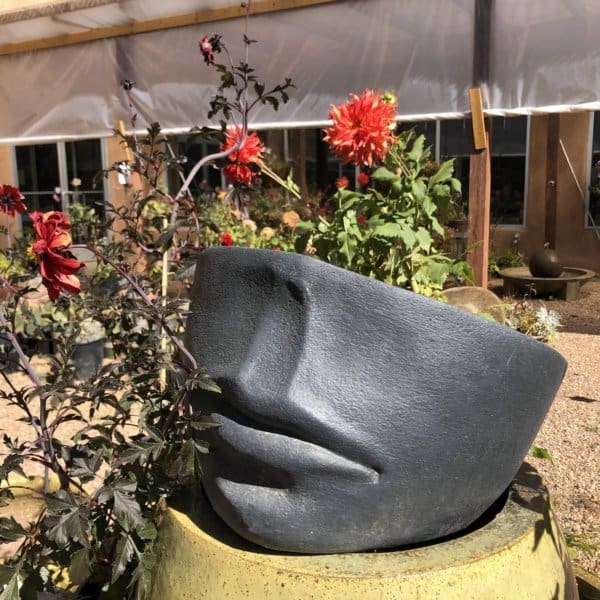 Campania Faccia Planter Medium