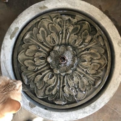 Campania Medallion Mini Fountain