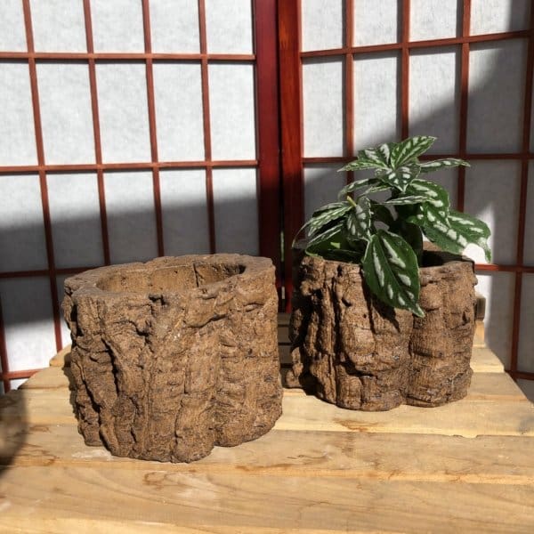 Campania Branch Planter - Image 2