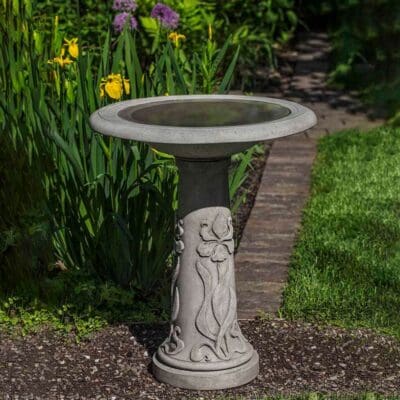 Campania Iris  Birdbath